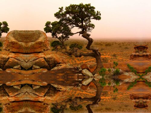 No 63 Red Rock