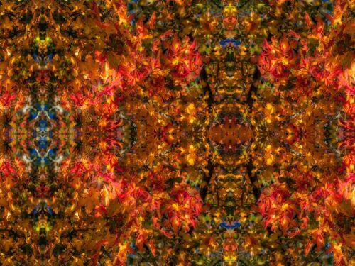No 101 Flaming Autumn